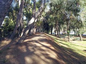 Ralph B Clark Park